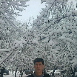 Miraziz, �������, 48 ���