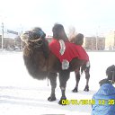 ���� Vladimir, �����, 75 ��� - ��������� 20 ������ 2016 � ������ ������ ��������