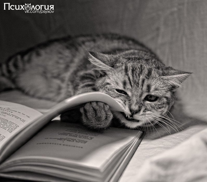 10 книг от депрессии! Сохраняйте 1. Братья Стругацкие - Понедельник начинается в субботу 2. Джон ...