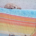 ���� �����, �����-��������� - ��������� 28 ������� 2016 � ������ ������ ��������