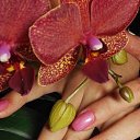 ���� ��������, ��������, 49 ��� - ��������� 3 ����� 2016 � ������ ���� ���� ������