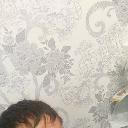 ���� Misha, ���������, 32 ���� - ��������� 13 ������� 2016