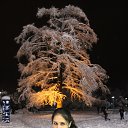 ���� ����, ������, 36 ��� - ��������� 2 ������ 2016 � ������ ���� ����������