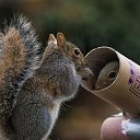 ���� ����, ������, 22 ���� - ��������� 17 ������� 2015 � ������ ������ ��������
