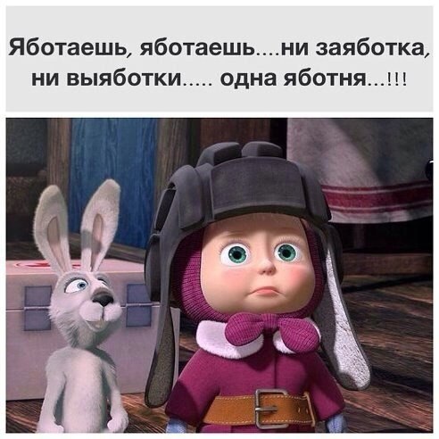   - 8  2016  19:33