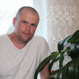 ���������, ������, 41 ���