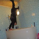 ���� ���������, ������� - ��������� 14 ������� 2015 � ������ ���� ����������