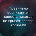  ,  -  31  2016    