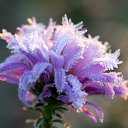  ••,  -  15  2015   