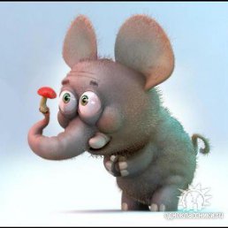 Misha, ����������, 40 ���