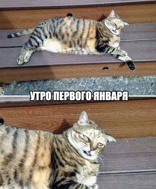 �������� �������� - 20 ������� 2015 � 20:56