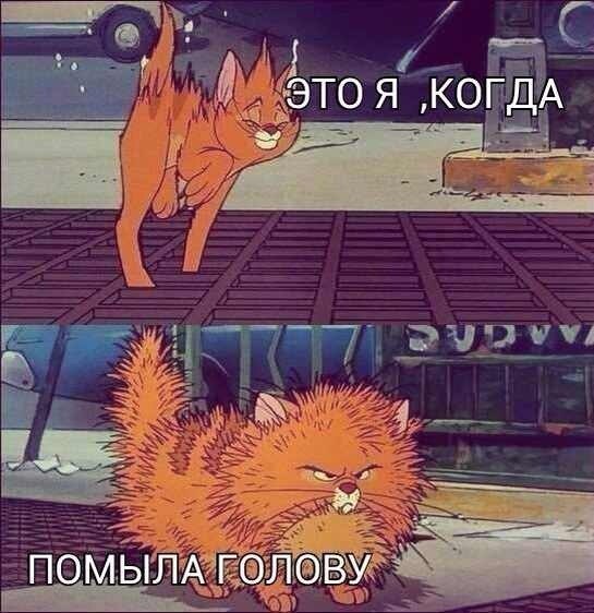    - 6  2015  21:15