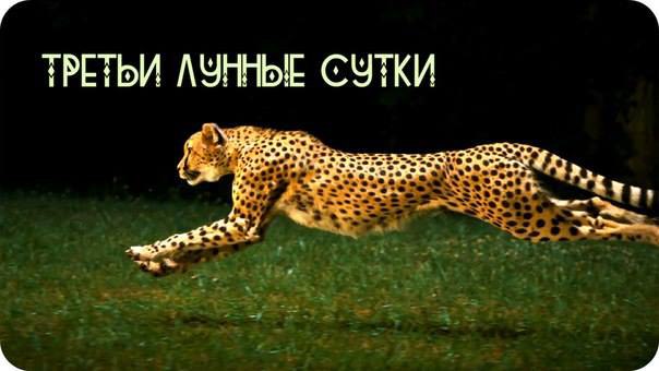 Екатерина Казакова.Лунный календарь Третьи лунные сутки Воскресенье (13 декабря) с 9:52до ...