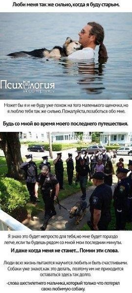   . - 10