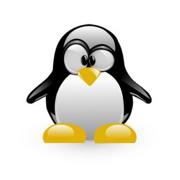 Irka, �������, 55 ���