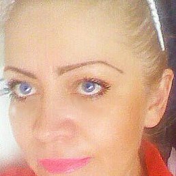 �������, �������, 40 ���