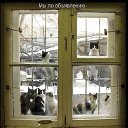 ���� ����, ������ - ��������� 11 ������� 2015 � ������ ������ ��������