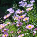 ���� �����, �������, 37 ��� - ��������� 14 ������ 2015 � ������ ���� ����������