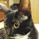 ���� ������, �����������, 55 ��� - ��������� 4 ������� 2015 � ������ ������ ��������