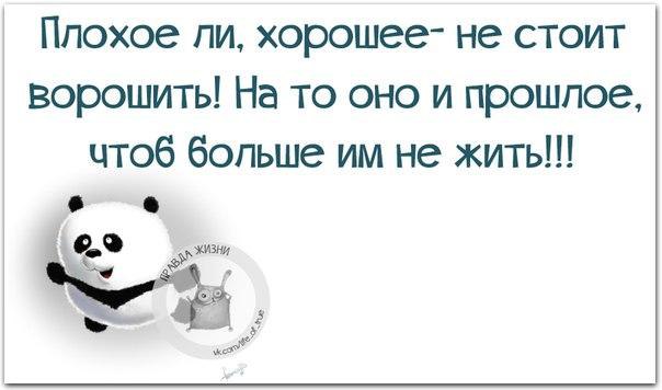   - 8  2015  17:41