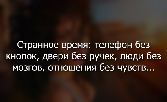   -  ,  -  - 11  2015  15:20