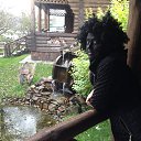 ����� �� ������� �� ������� ���� ����������