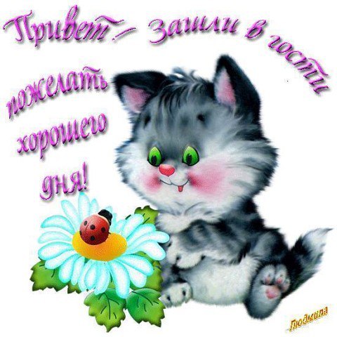 ДОБРОЕ УТРО! Жизнь прекрасна!....Спора нет.... Ох, уж этот Интернет... Статусы со всех сторон, ...