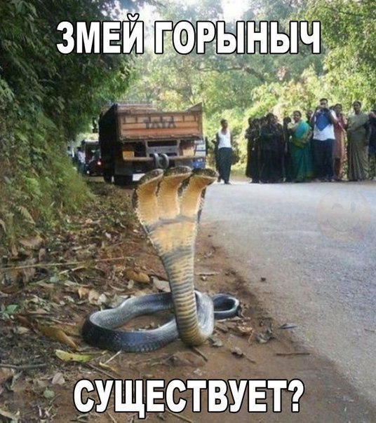    :D - 9  2016  16:36