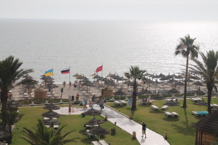 �����, Novostar Palmyra 3*, 2014 - 3