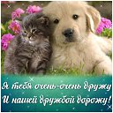 ���� ��������, ������, 49 ��� - ��������� 8 ������� 2015 � ������ �������� ��������