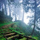   205, , 62  -  27  2015    