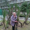 ���� ��������, ������ �����, 55 ��� - ��������� 25 ������� 2015 � ������ ���� ����������