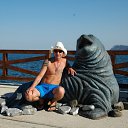 ���� �����, �����-���������, 38 ��� - ��������� 24 ������ 2015