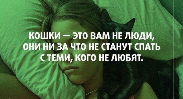  - 2  2015  18:41
