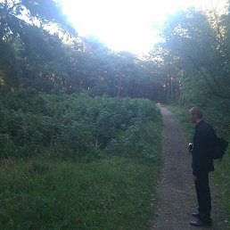 ����������, �����������, 37 ���