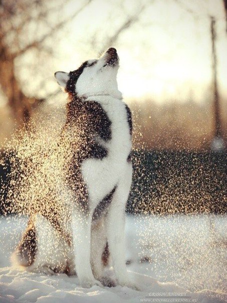 Art & Fun - 3  2015  19:15 - 4