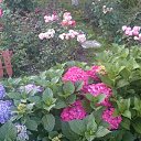 ���� �������, ������, 51 ��� - ��������� 9 ������� 2015 � ������ ���� ������