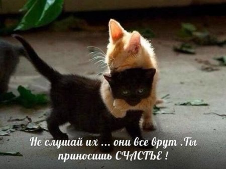 ***Victoria Viktorovna*** - 28  2016  08:32