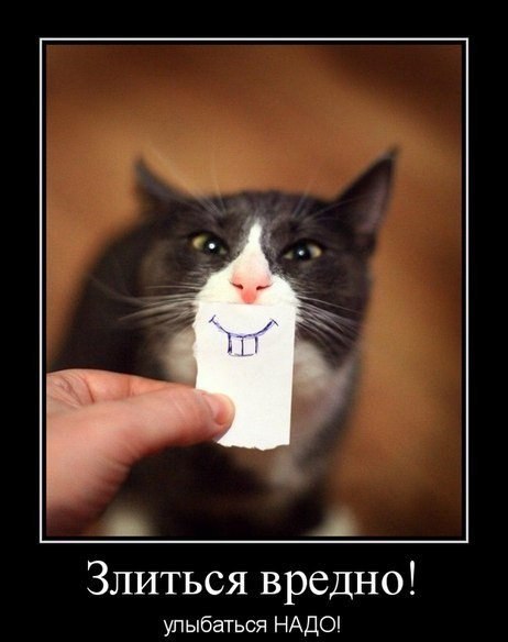 ����� - 7 ������ 2016 � 19:44