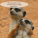 ���� Vadim, ��������, 35 ��� - ��������� 21 ������� 2016 � ������ ������ ��������