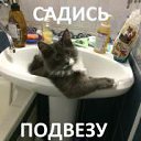 ���� ������, ������ �����, 55 ��� - ��������� 29 ������� 2015 � ������ ���� ����������