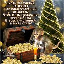 ���� ������, �����-���������, 60 ��� - ��������� 31 ������� 2015 � ������ ������ ��������