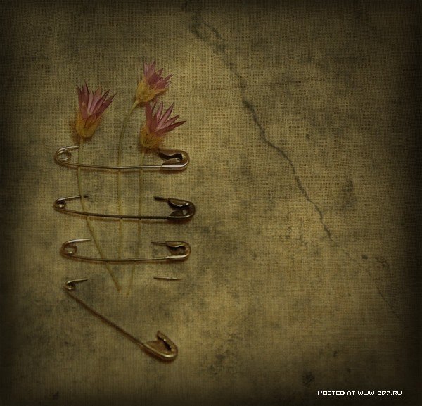 Still Life... George Rustchev - 6