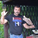 ���� ���������, ��������, 65 ��� - ��������� 27 ������� 2016 � ������ ���� ����������