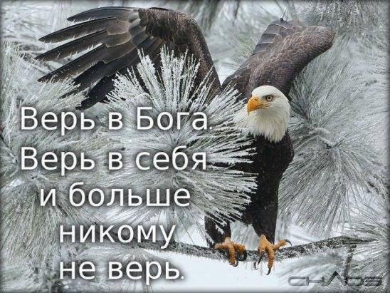 ,   ,  ,     ,      , ...