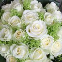  , -, 53  -  25  2016    