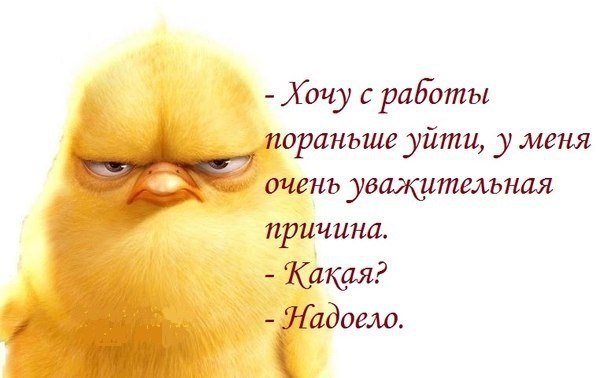  - ,  - 19  2015  02:38