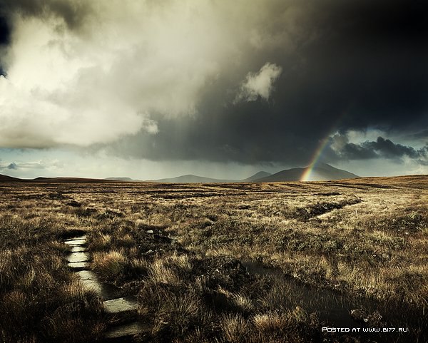   -  Craig Easton - 6