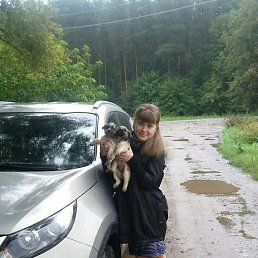 ���������, ����������, 33 ����