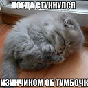 ���� ������, �����, 43 ���� - ��������� 8 ������ 2016